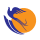 airline